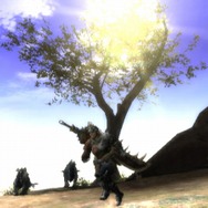 3日連続企画!MH3がみるみるわかる「今日からデビュー!モンスターハンター3」、第2回「広大な狩りの舞台」