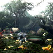 3日連続企画!MH3がみるみるわかる「今日からデビュー!モンスターハンター3」、第2回「広大な狩りの舞台」