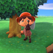 世界最重量！『あつまれ どうぶつの森』で採れる「ゾウカブト」ってどんなカブトムシ？【平坂寛の『あつ森』博物誌】