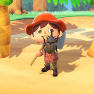 世界最重量！『あつまれ どうぶつの森』で採れる「ゾウカブト」ってどんなカブトムシ？【平坂寛の『あつ森』博物誌】