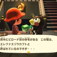 世界最重量！『あつまれ どうぶつの森』で採れる「ゾウカブト」ってどんなカブトムシ？【平坂寛の『あつ森』博物誌】