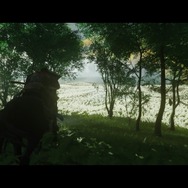『Ghost of Tsushima』はあらゆる瞬間が“絶景”！ フォトモードなしでも、世界はこんなに美しい・・・