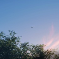 『Ghost of Tsushima』はあらゆる瞬間が“絶景”！ フォトモードなしでも、世界はこんなに美しい・・・