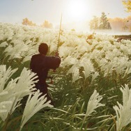『Ghost of Tsushima』はあらゆる瞬間が“絶景”！ フォトモードなしでも、世界はこんなに美しい・・・