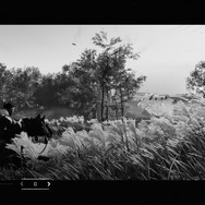 『Ghost of Tsushima』白でもなく黒でもない世界で、サムライは斬る─フォトジェニックな黒澤モードを研究する