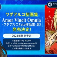 『Fate/EXTRA Record（仮）』はバトルシステムを一新！「STEAM版はあるの？」「CCCのリメイクは？」気になる質問に新納氏が回答【生放送まとめ】
