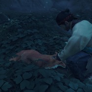 『Ghost of Tsushima』に登場するキツネが可愛いと話題に―「たまもちゃん」のユウキレイ先生もお稲荷さんに注目した