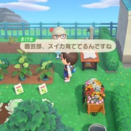 ゲーム好き漫画家が『あつまれ どうぶつの森』の