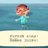 キュートでシャイ!『あつまれ どうぶつの森』に登場する「チンアナゴ」ってどんな魚?【平坂寛の『あつ森』博物誌】