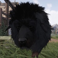 意外とカワイイ面もある！？ 『Ghost of Tsushima』蒙古密着24時