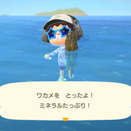 『あつまれ どうぶつの森』今月を逃すと再登場は来年！ 8月にはいなくなる生物3種の出現場所・入手方法を紹介