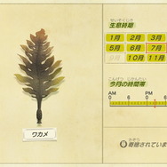 『あつまれ どうぶつの森』今月を逃すと再登場は来年！ 8月にはいなくなる生物3種の出現場所・入手方法を紹介