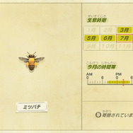 『あつまれ どうぶつの森』今月を逃すと再登場は来年！ 8月にはいなくなる生物3種の出現場所・入手方法を紹介