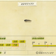 『あつまれ どうぶつの森』今月を逃すと再登場は来年！ 8月にはいなくなる生物3種の出現場所・入手方法を紹介