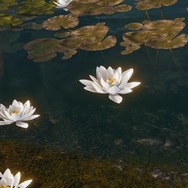 対馬で見た花の名前をあなたは知っていますか？『Ghost of Tsushima』の美しい花々を観察！