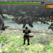 モンスターハンター3(トライ)