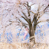 『Fate/Grand Order』マシュ／画像提供：Elly