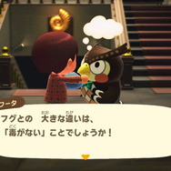 実は“針三百本”！？『あつまれ どうぶつの森』で釣れるハリセンボンってどんな魚？【平坂寛の『あつ森』博物誌】