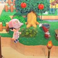 『あつまれ どうぶつの森』イラストレーター「カナヘイ」さんの島が真似したくなるテクニック満載ですごい！夢のおかげで誰でも行けるぞ