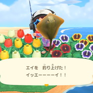 『あつまれ どうぶつの森』お盆休みは新登場生物コンプのチャンス! 8月から登場した虫・魚・海の幸の出現場所&入手方法を紹介