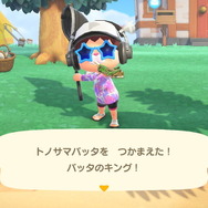 『あつまれ どうぶつの森』お盆休みは新登場生物コンプのチャンス! 8月から登場した虫・魚・海の幸の出現場所&入手方法を紹介