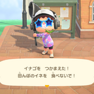 『あつまれ どうぶつの森』お盆休みは新登場生物コンプのチャンス! 8月から登場した虫・魚・海の幸の出現場所&入手方法を紹介