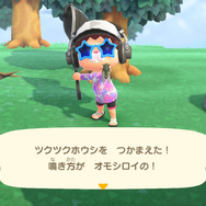 『あつまれ どうぶつの森』お盆休みは新登場生物コンプのチャンス! 8月から登場した虫・魚・海の幸の出現場所&入手方法を紹介