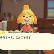 『あつまれ どうぶつの森』お盆休みもステイホームで島開拓!まだまだ楽しむあつ森のスローライフ【2020年前半振り返り】