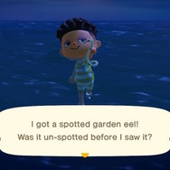 スイッチ『あつまれ どうぶつの森』で始める語学留学！：Enjoy Summer Vacation 夏のレジャーを満喫しよう