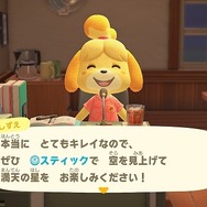 『あつまれ どうぶつの森』流れ星には秘密がいっぱい！星にまつわるエピソードを話すフーコや、ちょっとロマンチックな住人たちに注目