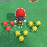 お盆は『あつまれ どうぶつの森』でお墓参りしよう! と思っていた私は、いつの間にか墓守になっていた