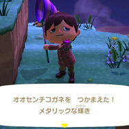 まるで宝石！でも好物はう○こ！『あつまれ どうぶつの森』に