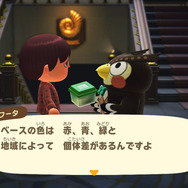 まるで宝石！でも好物はう○こ！『あつまれ どうぶつの森』に登場する「オオセンチコガネ」ってどんな虫？【平坂寛の『あつ森』博物誌】