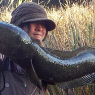 雷が鳴るまで離さない！？『あつまれ どうぶつの森』で釣れる「ライギョ」ってどんな魚？【平坂寛の『あつ森』博物誌】