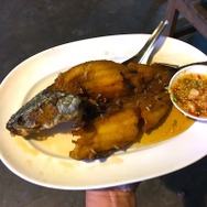 雷が鳴るまで離さない！？『あつまれ どうぶつの森』で釣れる「ライギョ」ってどんな魚？【平坂寛の『あつ森』博物誌】