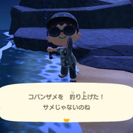 『あつまれ どうぶつの森』一晩全力で虫取り・魚釣りに挑んだら何ベル稼げるのか？ 高額生物に絞って離島ツアーで大儲け！