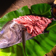 人間サイズの巨大アジ！！『あつまれ どうぶつの森』で釣れるロウニンアジってどんな魚？【平坂寛の『あつ森』博物誌】