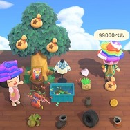 『あつまれ どうぶつの森』住人とプレイヤーの誕生日が同じだったらどうなるの？ゴミを贈ったら怒られる？意外と知らないパターンを調べてみた