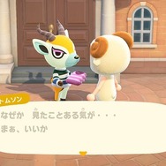 『あつまれ どうぶつの森』住人とプレイヤーの誕生日が同じだったらどうなるの？ゴミを贈ったら怒られる？意外と知らないパターンを調べてみた