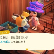 『あつまれ どうぶつの森』住人とプレイヤーの誕生日が同じだったらどうなるの？ゴミを贈ったら怒られる？意外と知らないパターンを調べてみた