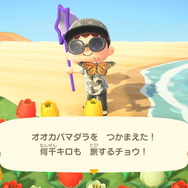 『あつまれ どうぶつの森』9月から新登場した虫・魚・海の幸をチェック！ 虫の合唱、遡上するサケ…生態系を秋が彩る