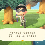 『あつまれ どうぶつの森』9月から新登場した虫・魚・海の幸をチェック！ 虫の合唱、遡上するサケ…生態系を秋が彩る