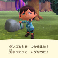 実は海外出身！？『あつまれ どうぶつの森』に登場するダンゴムシの正体とは【平坂寛の『あつ森』博物誌】