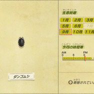 実は海外出身！？『あつまれ どうぶつの森』に登場するダンゴムシの正体とは【平坂寛の『あつ森』博物誌】