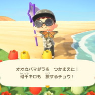 【週刊インサイド】『FGO』夏イベントの“あの選択肢”の真相に迫る！─「水着PU2で一番好きなサーヴァントは？」の結果発表にも注目集まる