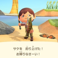 9月限定！『あつまれ どうぶつの森』で釣れる「サケ」＆「キングサーモン」について知ろう【平坂寛の『あつ森』博物誌】