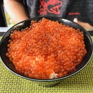 9月限定！『あつまれ どうぶつの森』で釣れる「サケ」＆「キングサーモン」について知ろう【平坂寛の『あつ森』博物誌】