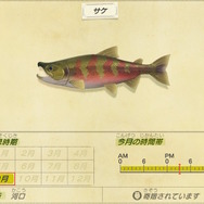 9月限定！『あつまれ どうぶつの森』で釣れる「サケ」＆「キングサーモン」について知ろう【平坂寛の『あつ森』博物誌】