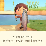 9月限定！『あつまれ どうぶつの森』で釣れる「サケ」＆「キングサーモン」について知ろう【平坂寛の『あつ森』博物誌】