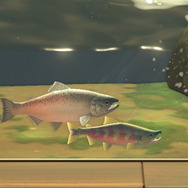 9月限定！『あつまれ どうぶつの森』で釣れる「サケ」＆「キングサーモン」について知ろう【平坂寛の『あつ森』博物誌】